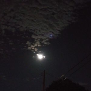 Meet your Posher, Tommy